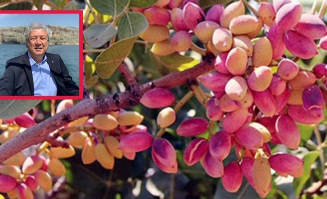 Depoculukta Antep’e mahkum