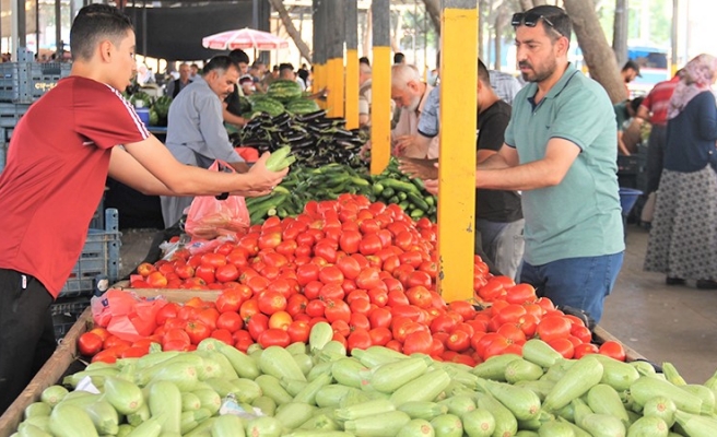 Yaz mevsiminde bile sebze ve meyvenin yanına yaklaşılamıyor