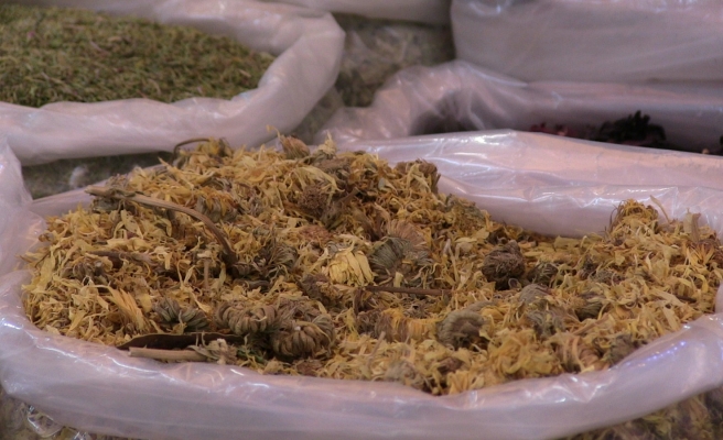 Doğal ağrı kesici besinler