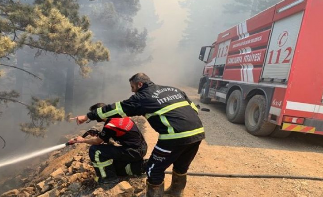 Eyyübiye’de ormanlık alanda yangın