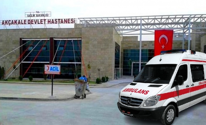 Akçakale'de kontrolden çıkan at arabası devrildi