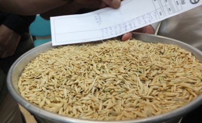 TMO, buğday ve arpaya destek primi ödeyecek