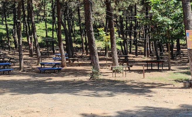 İçişleri Bakanlığı'ndan 81 il valiliğine 'orman yangınları tedbirleri' genelgesi