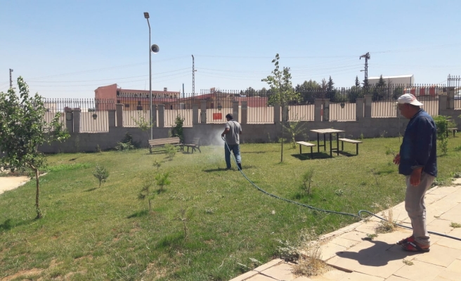 Sinek ve haşerelere karşı ilaçlama yapıldı