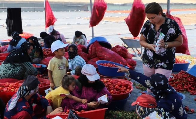 İsot işçilerine ‘güneş çarpması’ uyarısı!