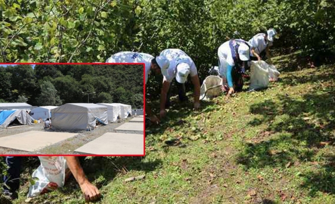 Urfalı tarım işçileri vali ve milletvekillerine seslendi!