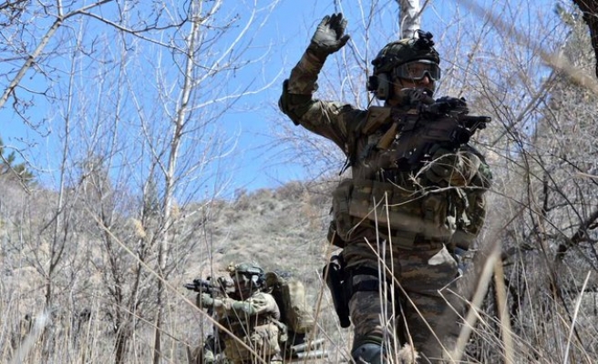 Birecik'teki karakol saldırısı sonrası bölgede 22 terörist etkisiz hale getirildi