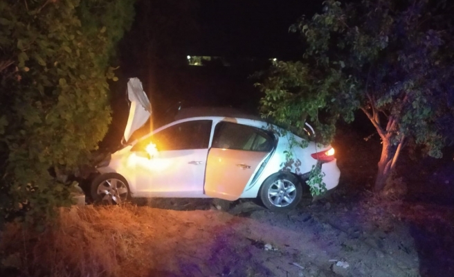 Bozova'da araç atlara çarpıp şarampole uçtu!