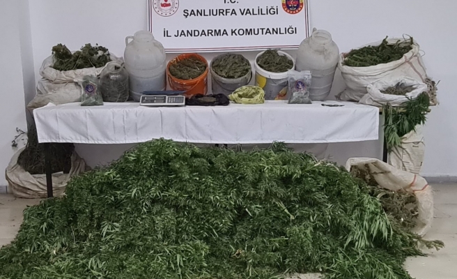 Viranşehir’de jandarmadan uyuşturucu operasyonu