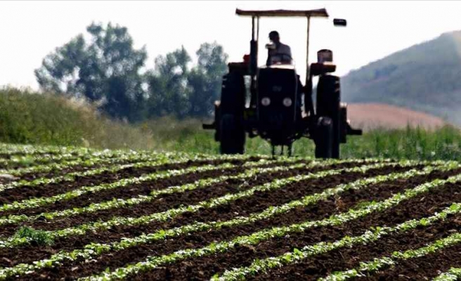 Çiftçilere tarımsal destek ödemesi bugün yapılacak