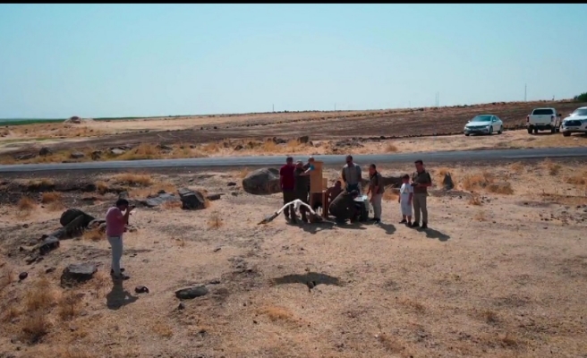 Tedavisi tamamlanan yavru leylekler doğaya salındı