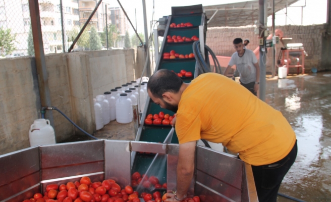 Şanlıurfa'da mevsimlerden ‘kırmızı’