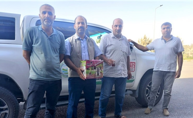 Şanlıurfa’da yaralı halde bulunan peçeli baykuş tedavi altına alındı