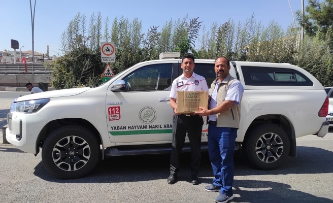 Urfa’da yaralı bulunan balaban ve karga tedavi altına alındı