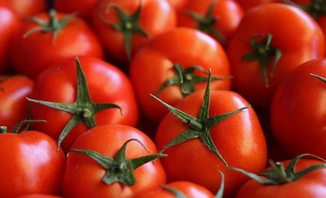 Domatesin ihracatı artık bakanlık iznine tabi