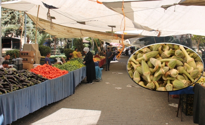 Yaz sebzesi bamya fiyatıyla cep yakıyor