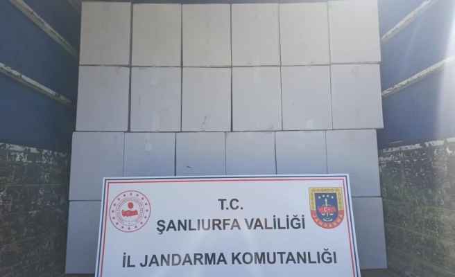 Eyyübiye'de 1 milyon 600 bin kaçak filtreli sigara kağıdı ele geçirildi (-EK)