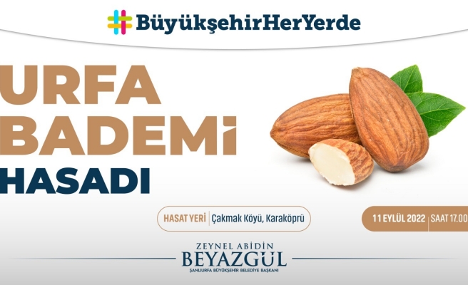 Şanlıurfa'da badem hasadı etkinliği düzenlenecek