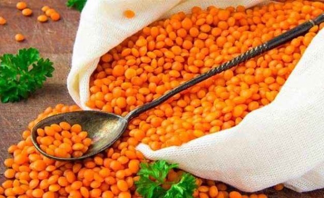 Bakanlıktan üreticilere yüzde 70 hibe desteği