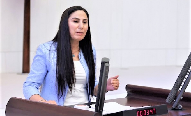 Vekil Sürücü: Siverek’teki sorunu Meclis’e taşıdı