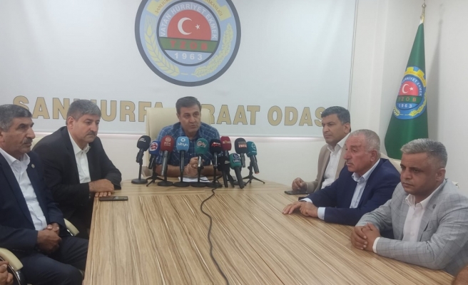 Şanlıurfa’da pamuk biçim ücretleri revize edildi