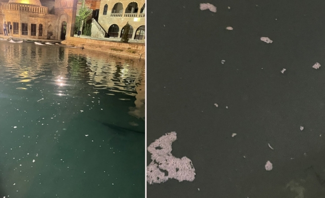 Balıklıgöl'de oluşan müsilaj ve kokuya tepki