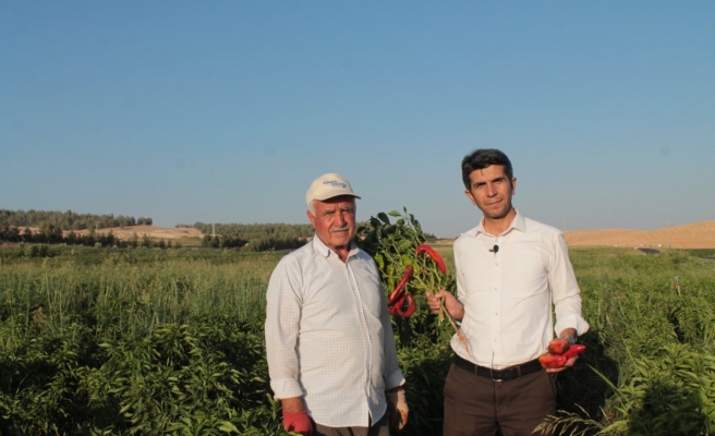 HÜDA PAR İl Başkanı'ndan Urfalı gençler için proje önerisi