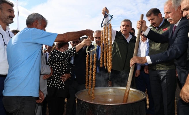 Hilvan'da 'Şire Şenliği' düzenlendi