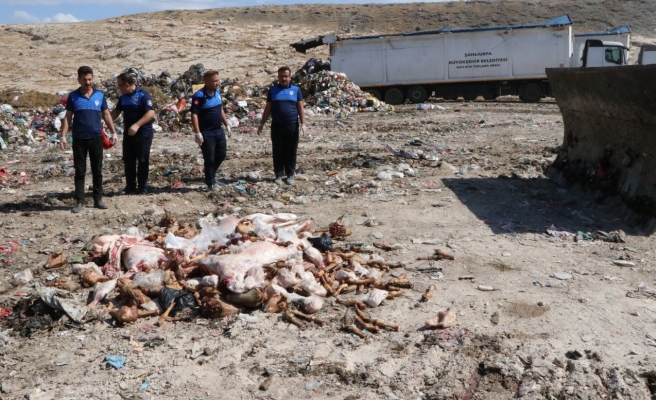 Haliliye’de 3 ton et imha edildi!