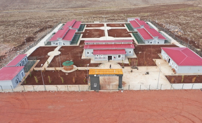 Urfa’da sokak hayvanları için modern tesis