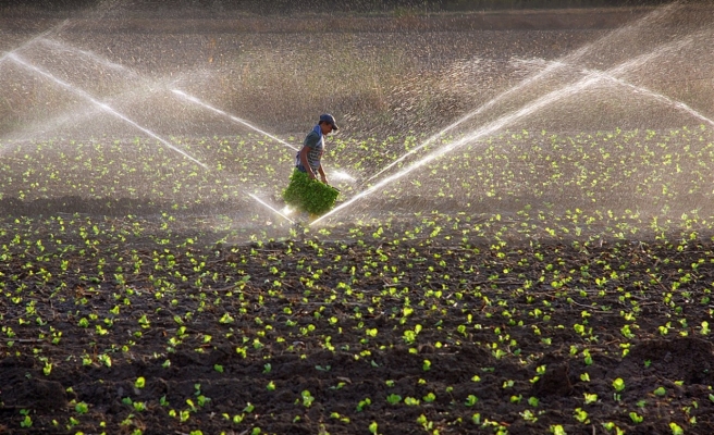 Elektrik faturaları hasat sonrası ödenebilecek