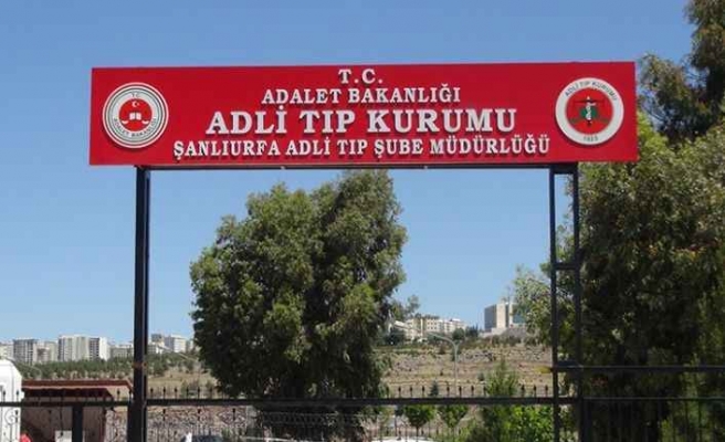 Urfa'da traktör altında kalan sürücü can verdi!