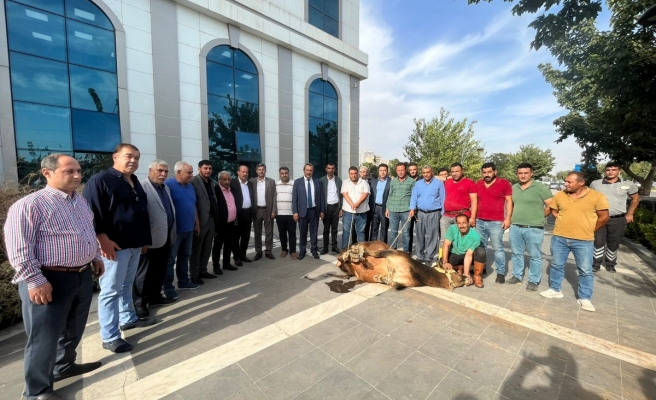 Başkan Kaya, tebrikleri kabul etmeye devam ediyor