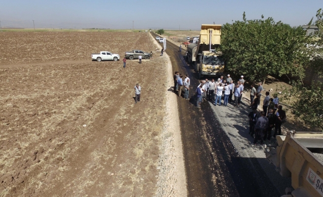 Siverek kırsalında asfalt çalışması