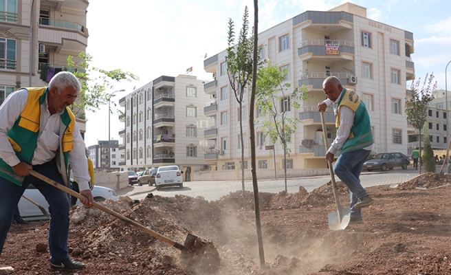 Yeni parklar yeşillendiriliyor