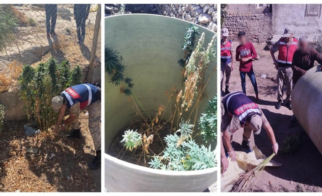 Eyyübiye’de evde Hint keneviri yetiştiren 2 zanlı yakalandı