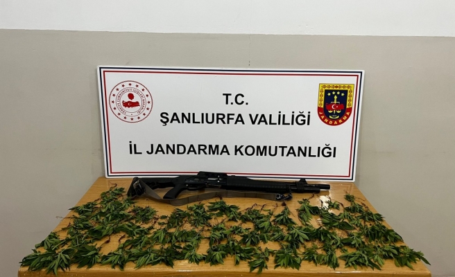 Hilvan’da jandarmadan operasyon