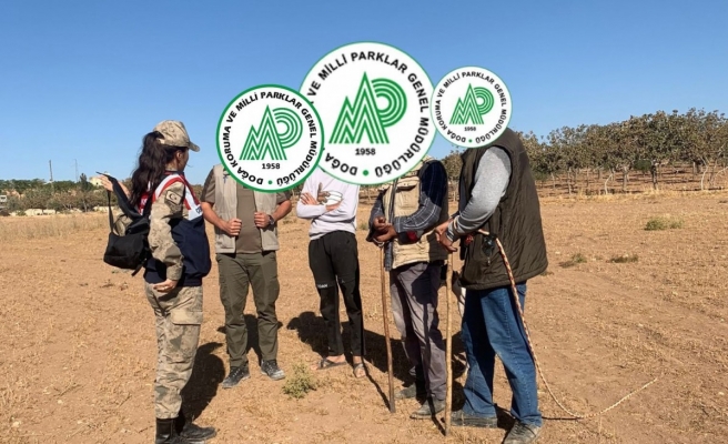 Urfa'da kaçak avcılara baskın