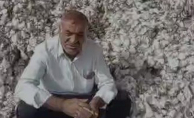 Urfalı pamuk çiftçisi tövbe etti! 