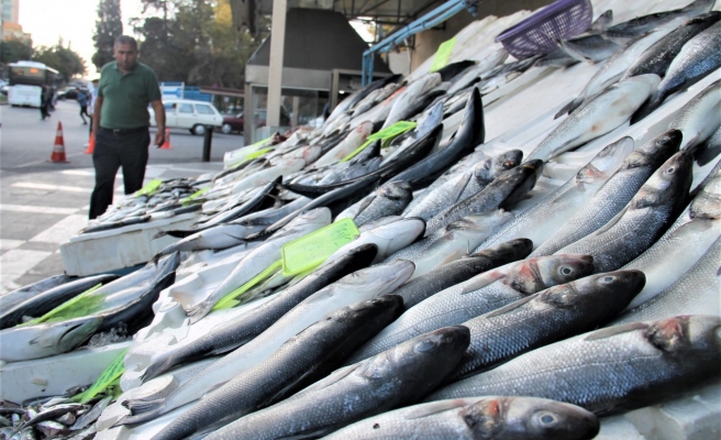 Şanlıurfa’da balık çok alan yok!
