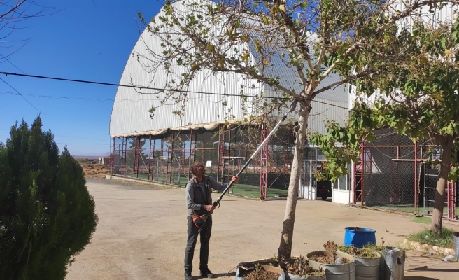 Siverek’te parklarda budama çalışmaları başlatıldı