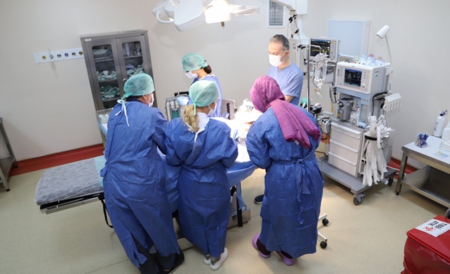 Urfa’da genel anestezi ile 562 hastaya diş tedavisi