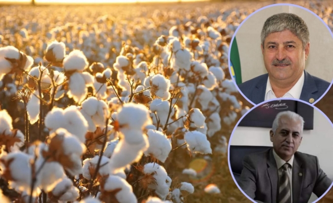 Urfa’da pamuk çiftçinin kabusu oldu