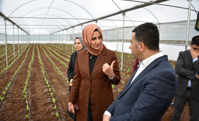 Kaymakam Gölbaşı: Tarıma her türlü desteği vereceğiz