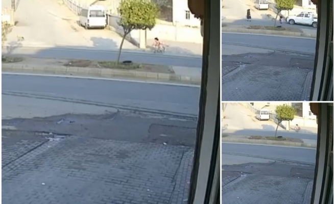 Eyyübiye’de başıboş köpekler küçük kıza saldırdı