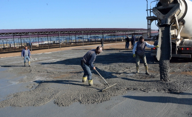 Siverek’te yeni hayvan pazarının alanı genişliyor