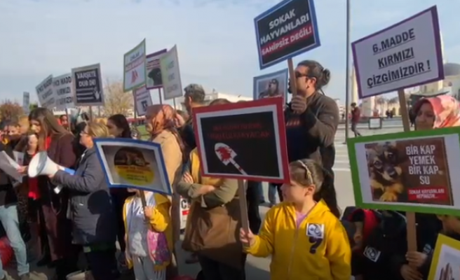 Urfa'da hayvanseverlerden sokak hayvanlarıyla ilgili açıklama