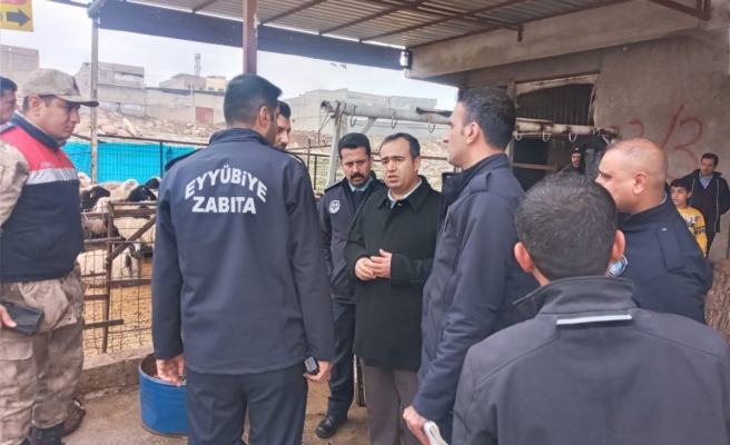 Şanlıurfa’da kaçak hayvan kesimine taviz yok
