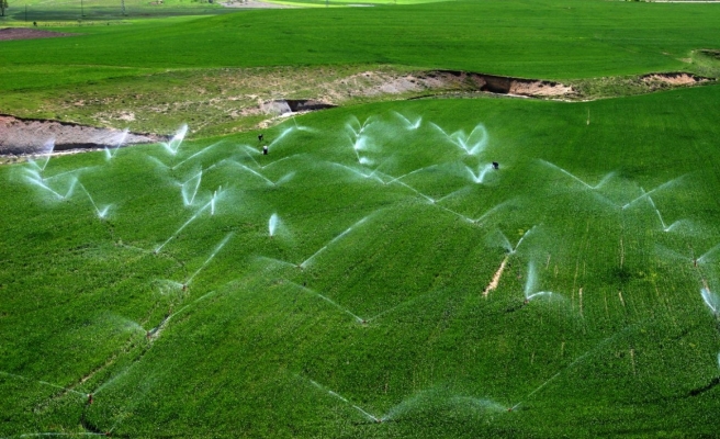 Tarım üretici enflasyonu rekor yineledi