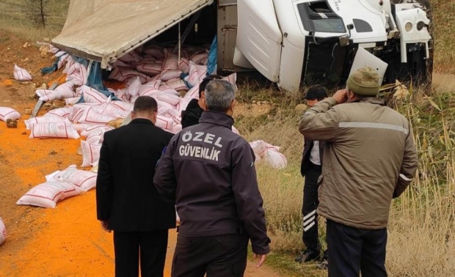 Urfa’da mercimek taşıyan tır devrildi